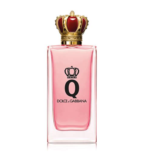 q by dolce & gabbana